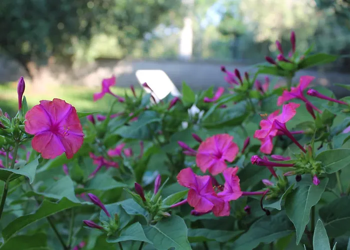 La Farfalla Fossacesia